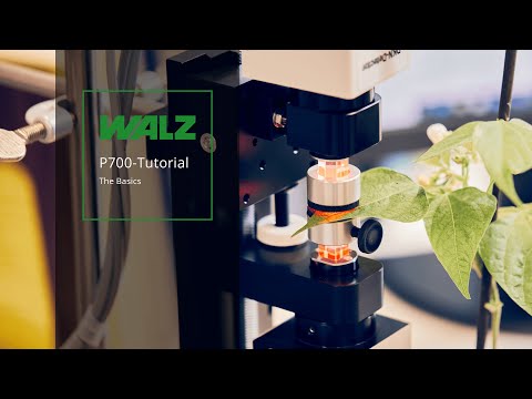 WALZ P700 Tutorial - The basics - video from Heinz Walz