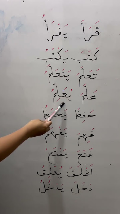 It turns out Arabic is easy | Let's take an Arabic course