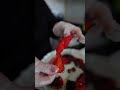 اسهل واسرع طريقة لوصفة المحمرة