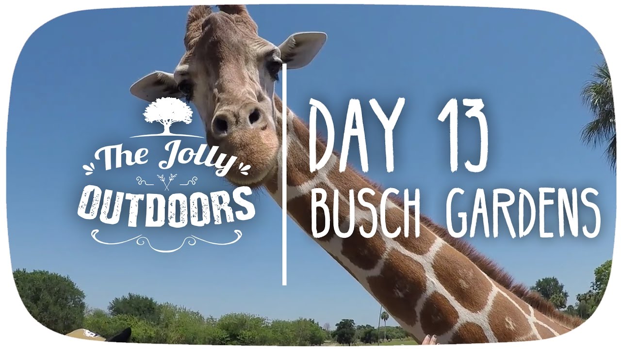 Day 13 - Busch Gardens - Orlando Florida holiday vlog Video