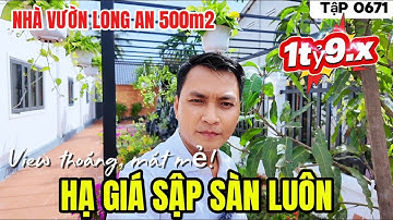 Tập 0671 Nhà vườn Long An | Nàh cấp 4 sân vườn 500m2 thổ cư hạ giá sập sàn chỉ 1tỷ950