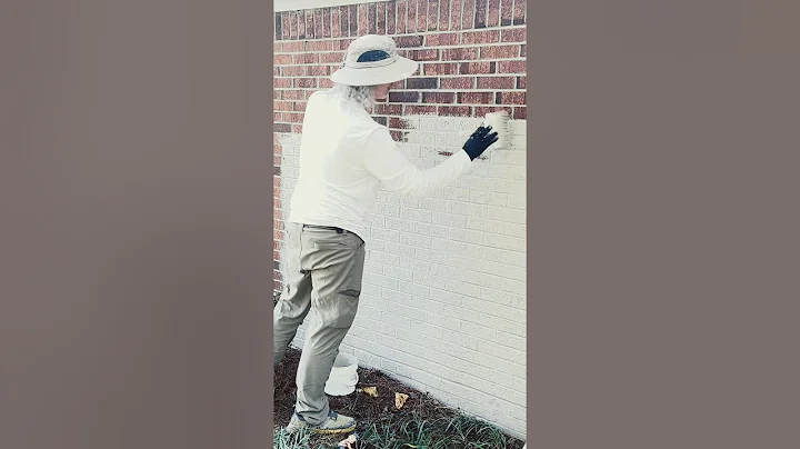 We are giving this ranch a makeover - cleaning her up and applying samples of Classico Limewash