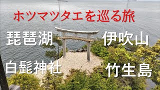 【琵琶湖周辺の旅】ホツマツタエを巡る