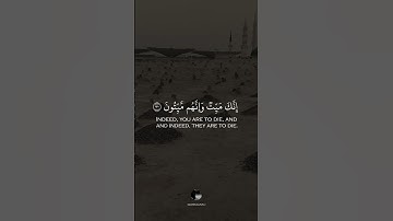 ( إنك ميت وإنهم ميتون ثم إنكم يوم القيامة عند ربكم تختصمون ) || القارئ يوسف الصقير || سورة الزمر