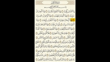 سعد الغامدي جزء من سورة التكوير