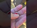 May 10 2025 Metaldetecting May 10 2025 Metaldetecting