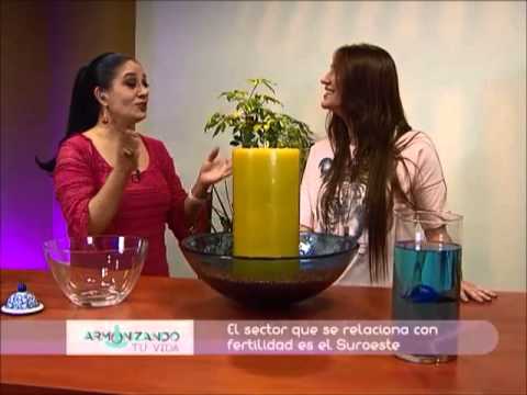 tips para lograr un embarazo