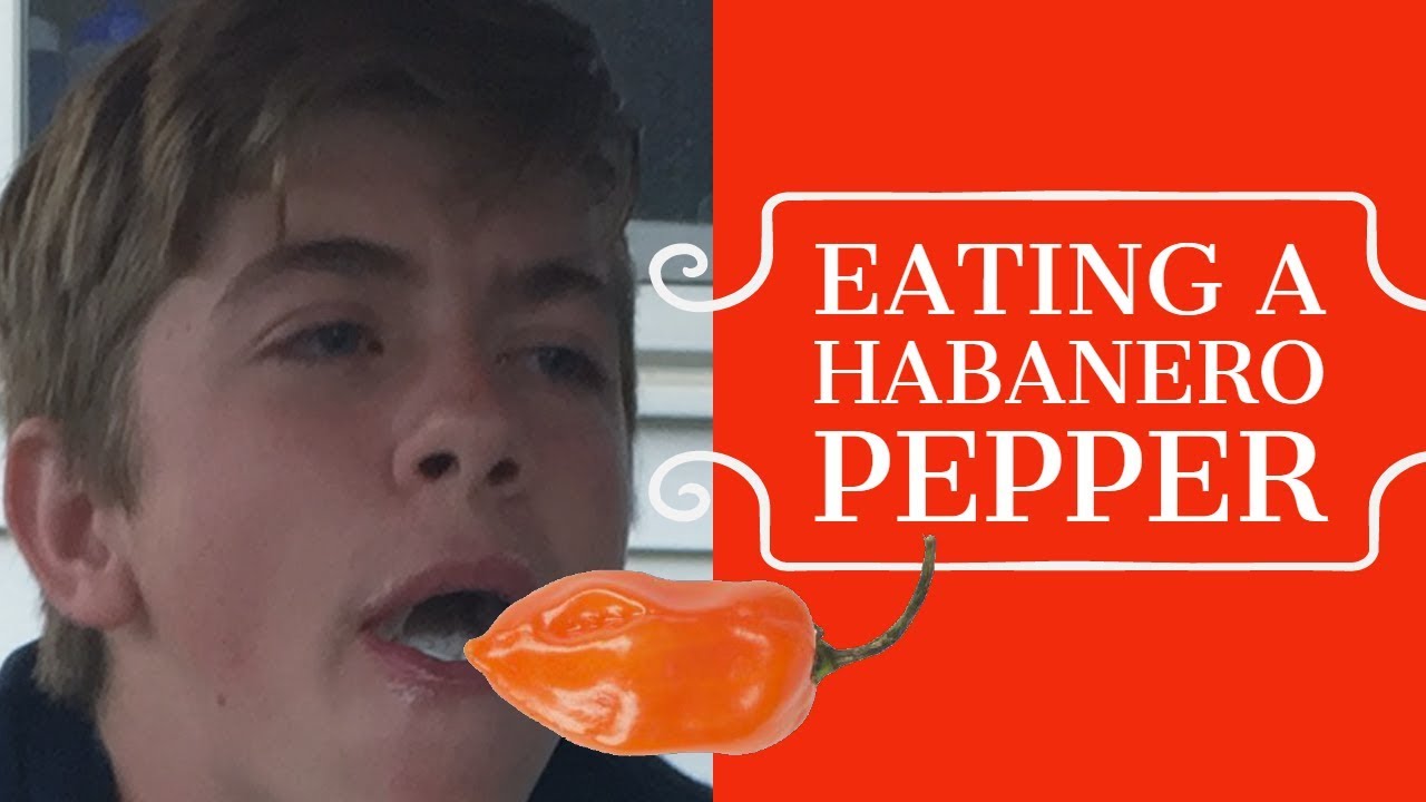 EATING A HABANERO PEPPER! YouTube