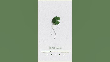 يَا أَيُّهَا الَّذِينَ آمَنُوا اجْتَنِبُوا كَثِيرًا مِّنَ الظَّنِّ | القارئ ماهر المعيقلي