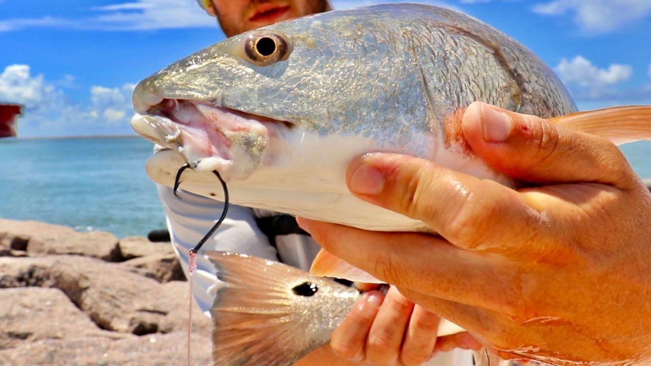 The Top 3 Hooks You Must Have For Surf & Jetty Fishing