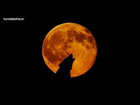 Video: ¿Qué sucede durante la luna del lobo?