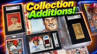 Collection Additions!
