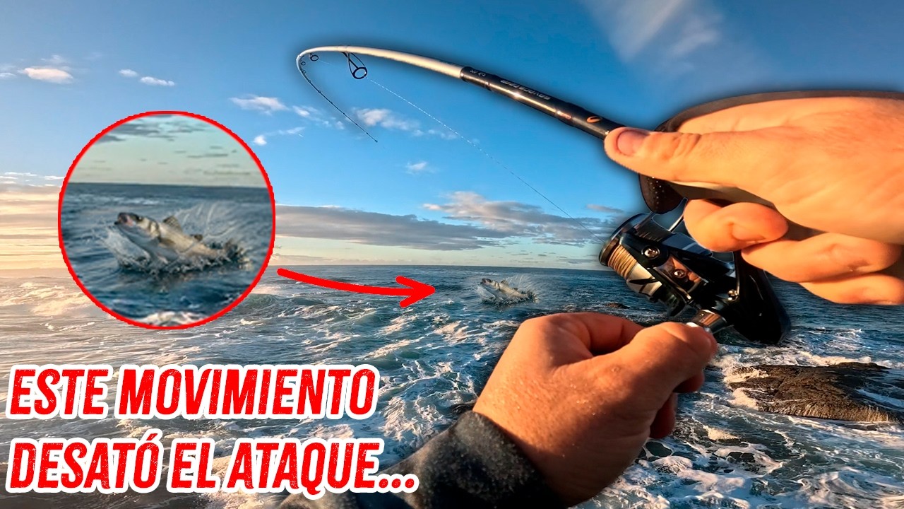 Lubinas a Spinning desde Costa (La Estrategia que me Salvó la Jornada de Pesca)