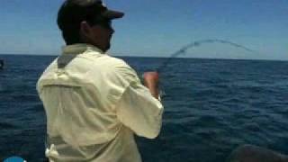 Sea Superstitions, Fish Facts on Jacks