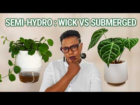 Choose Your Semi Hydroponic System | Wick or Submerged?