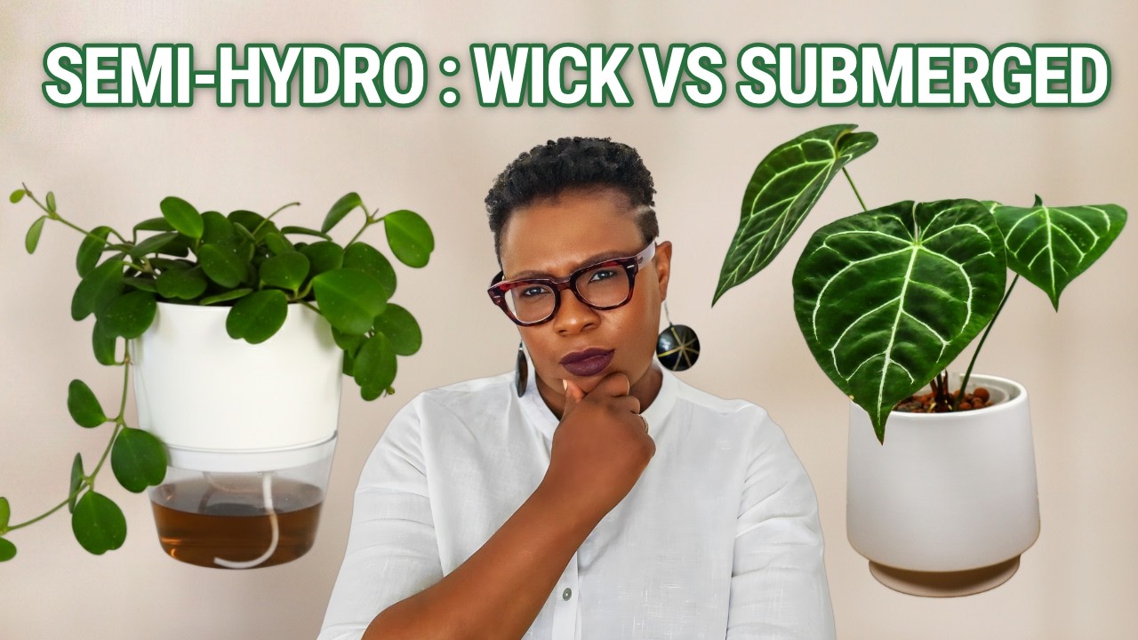 Choose Your Semi Hydroponic System | Wick or Submerged?