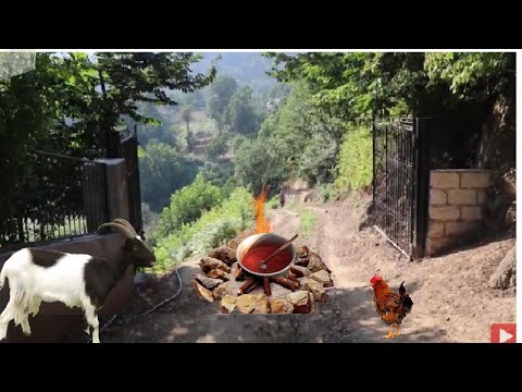 Video: Bir Qış Toyu üçün Bir Neçə Ipucu