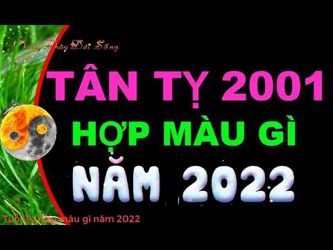 2001 Hợp Màu Gì - Tuổi Tân Tỵ 2001 hợp màu gì 2022 để mang tới tài lộc may mắn