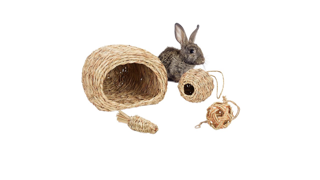 Relaxdays Set Paglia Per Conigli, 3 Accessori, Tane & Giocattoli Da Masticare, Giochi Per Roditori, 2