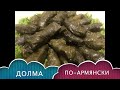 Рецепт - Долма по-армянски из виноградных листьев!