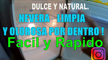 ¿Cómo puedo desinfectar mi frigorífico de forma natural?