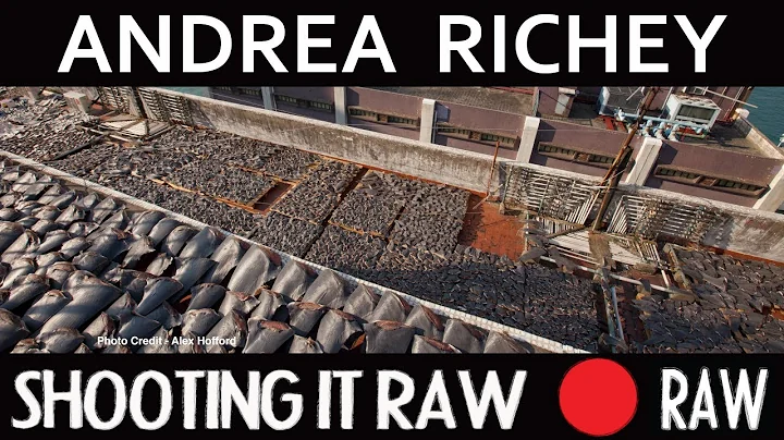 034  Andrea Richey on Saving Sharks and Our Oceans