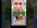কবুতর ধরার টেকনিক #camping #reels #hack #rope #bottle #tipsandtricks