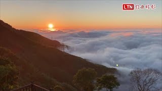 古坑雲海美呆！樟湖茶農自拍：我家像仙境