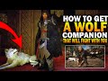 How To Get A Wolf Companion That Will Fight With You! Assassin's Creed Valhalla Secret Abilities