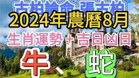 【古柏論命每月運勢+吉日凶日】2024年農曆8月(陽曆9/3 ~ 10/2)生肖運勢分享 -  牛＋蛇 - 天天要聞