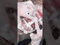 #asmr #asmrsounds #洗顔#Bubble泡洗顔#大阪天王寺