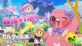 【 初見実況 / ゼルダの伝説知恵のかりもの 】貸せる物全部ください！赤ちゃんフラミンゴが世界を救うよ！part9【  めまいパレード / 羽合アン / 桃野トリ / 個人VTuber 】