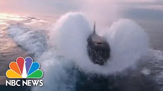 Researchers debate why orcas are attacking and sinking boats