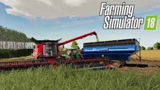 Colhendo O Girassol Com A Colheitadeira Nova Farming Simulator 18  13