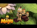 Solar queen  maya the bee  episode 43