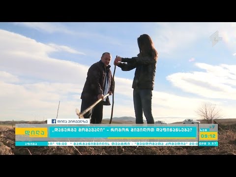 პროექტი \"დანერგე შენი მომავალი\" - როგორ მივიღოთ დაფინანსება