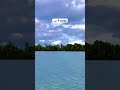 Ngebut Pakai Speed Boat di muara sungai kalimantan!! #shorts#fyp#fypindonesia#speedboat #adrenaline