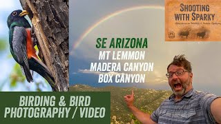 SE Arizona Birding  & Bird Photography-Trogons and more!  Madera & Box Canyon Mt Lemmon