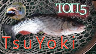 :  5  TsuYoki  