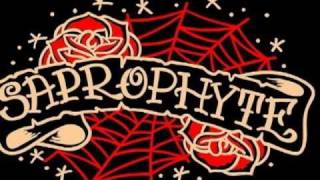 SAPROPHYTE - Skutočna laska