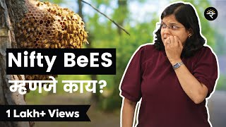 Nifty मध्ये गुंतवणूक कशी करायची?  What are Nifty BeES? भाग - ३९ | CA Rachana Ranade