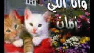 شيماء - لقيتك فين