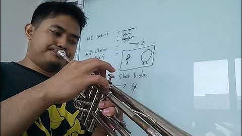 55. Essential Elements Quiz