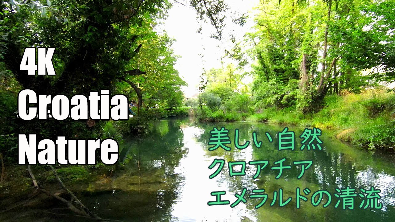 クロアチアで植物と暮らす