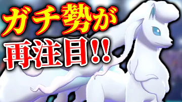 アローラキュウコン