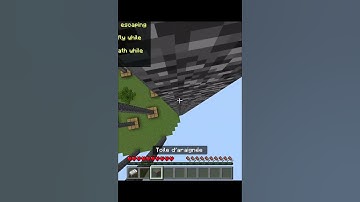 Cobweb mlg clutch on the wall ??? #mlgclutch #clutch #minecraftpro #minigames