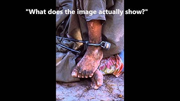 COMM 353 Video Essay