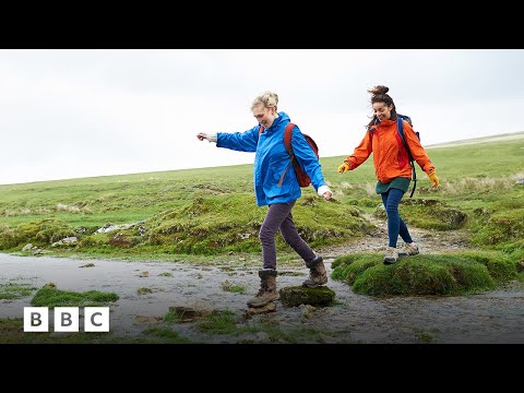 Does it really take 10,000 steps to stay healthy? | BBC Global
