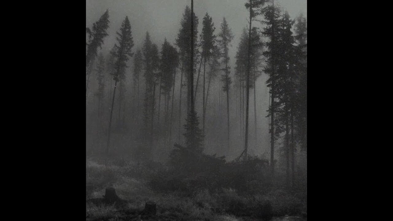 (free) post punk + thxsomch + alternative rock type beat “dark forest”