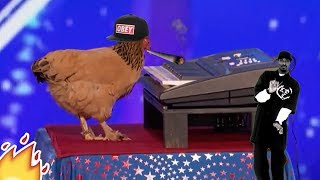 Dubstep chicken 🔥